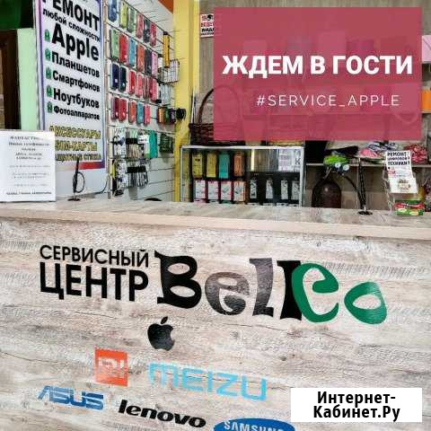 Ищу инвестора в надежный бизнес Севастополь - изображение 1