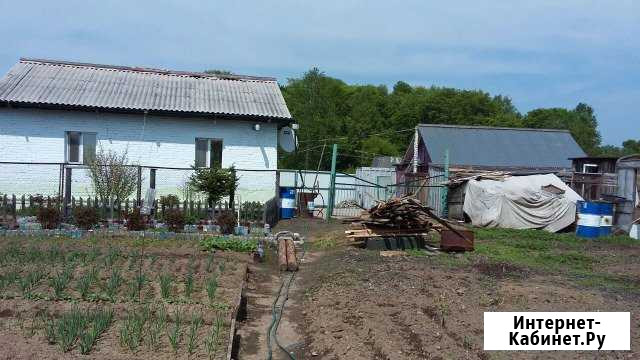 Дом 60 кв.м. на участке 27.6 сот. Эльбан - изображение 1