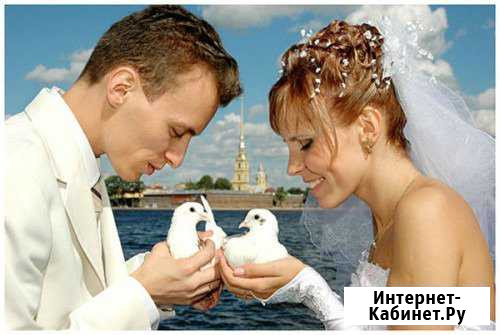 Голуби на свадьбу и на любые другие мероприятия Иркутск - изображение 1