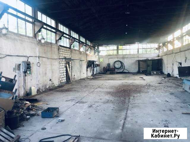 Помещения свободного назначения Су 528 Севастополь - изображение 1