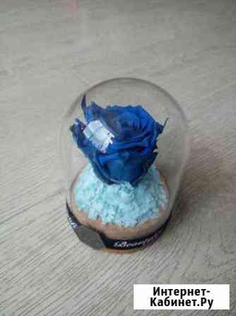 Вечная роза Ставрополь