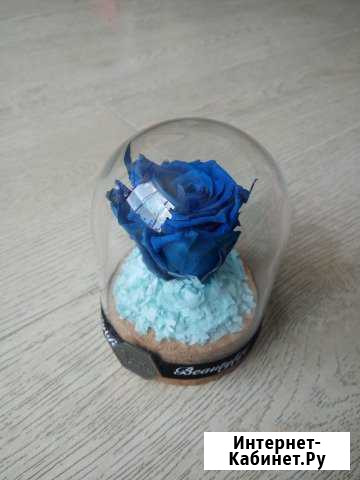 Вечная роза Ставрополь - изображение 1