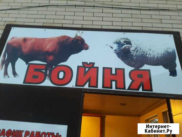 Бойня Черкесск - изображение 1