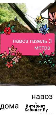 Навоз в мешках и газелью Лысьва - изображение 1