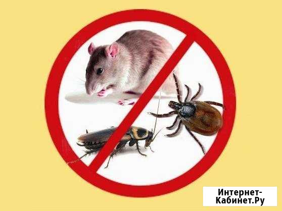 Уничтожение насекомых И грызунов Пермь - изображение 1