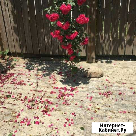 Качественная уборка помещений Воронеж - изображение 1