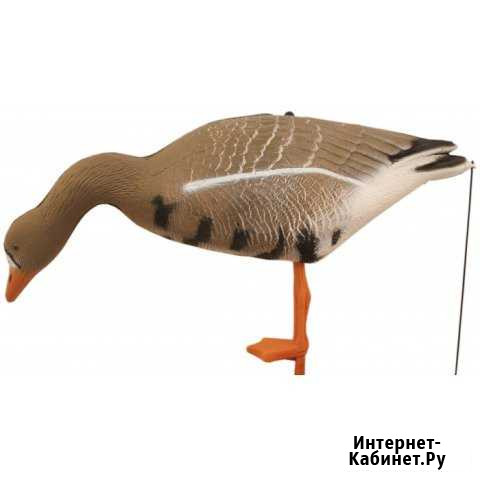 Чучела белолобика полнообъемные, ультралегкие Архангельск - изображение 1