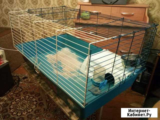 Клетка Электросталь - изображение 1