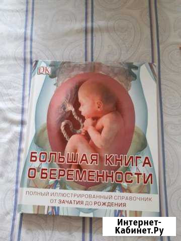 Большая книга о беременности Сара Брюэр Тула - изображение 1