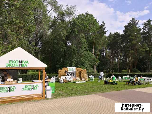 Изготовление декораций В2В Воронеж - изображение 1