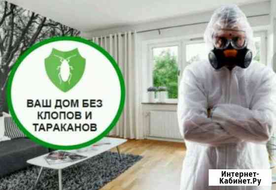 Уничтожение насекомых Хабаровск