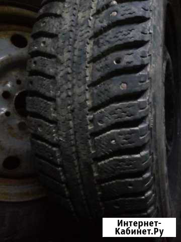 Зима R 14 Кострома - изображение 1