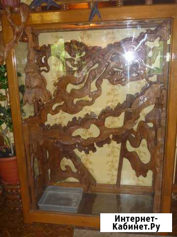 Террариум Москва - изображение 1