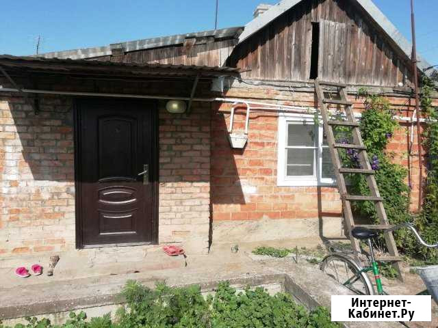 Дом 32 кв.м. на участке 24 сот. Новопавловск - изображение 1