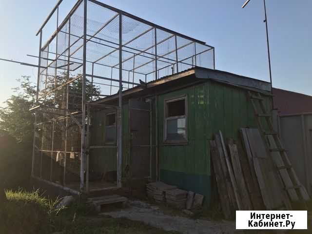 Голубятня Нурлат - изображение 1
