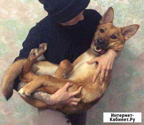 Охранница и хорошая девочка в самые добрые руки Екатеринбург