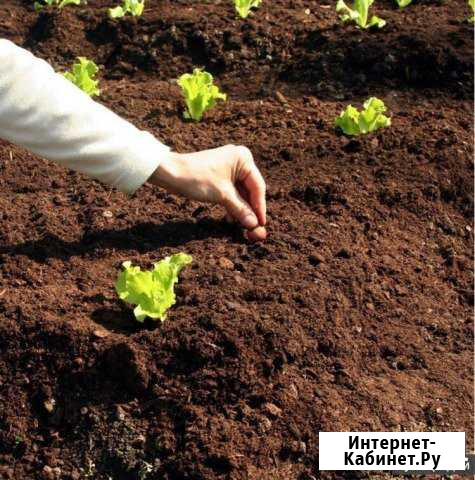 Садовый грунт.биогрунт Раменское - изображение 1
