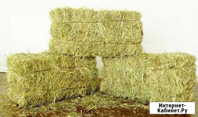 Сено Костер Липецк - изображение 1