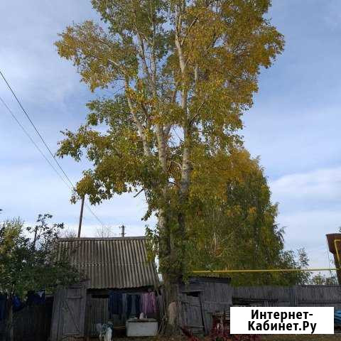 Спил деревьев Альметьевск - изображение 1