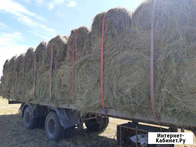 Сено рулоны и тюки 250 и 20 кг. Июнь 2019года Дубовка - изображение 1