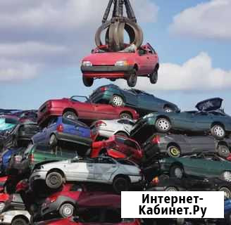 Утилизация и вывоз всех моделей Тольятти - изображение 1