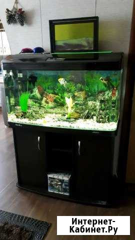 Аквариум jebo R3100KG с тумбой Тотьма - изображение 1
