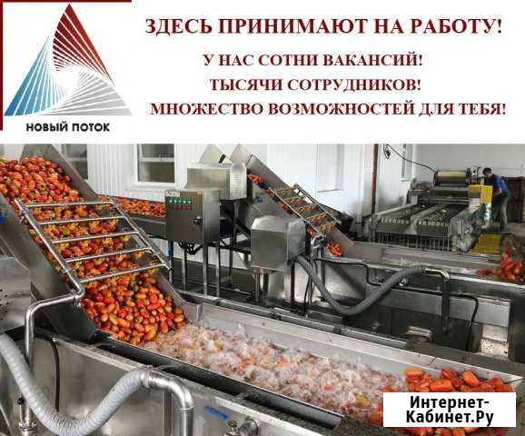 Работник на консервный завод.Краснодар.Новоминская Зерноград - изображение 1
