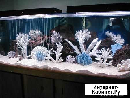 Чистка, оформление, обслуживание аквариумов Брянск - изображение 1