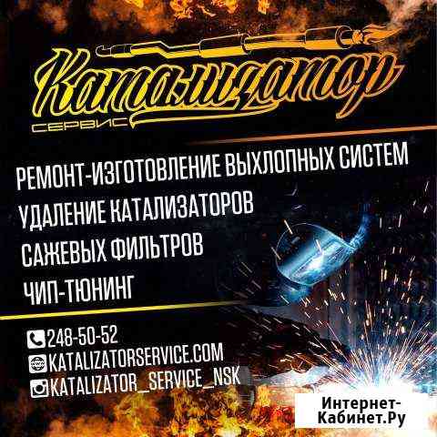 Удаление катализатора,ремонт выхлопной системы Новосибирск