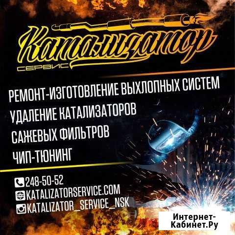 Удаление катализатора,ремонт выхлопной системы Новосибирск - изображение 1