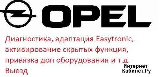 Диагностика Opel (OP-COM) адаптация Выезд Брянск