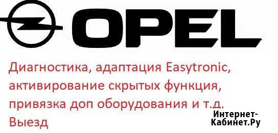 Диагностика Opel (OP-COM) адаптация Выезд Брянск - изображение 1
