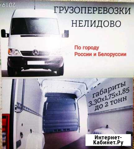 Грузоперевозки Нелидово - изображение 1