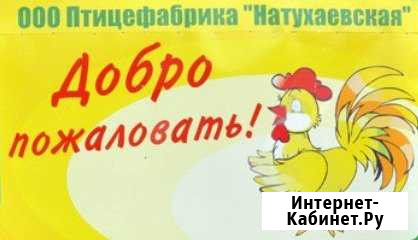 Разнорабочий. З/п сразу Новороссийск - изображение 1