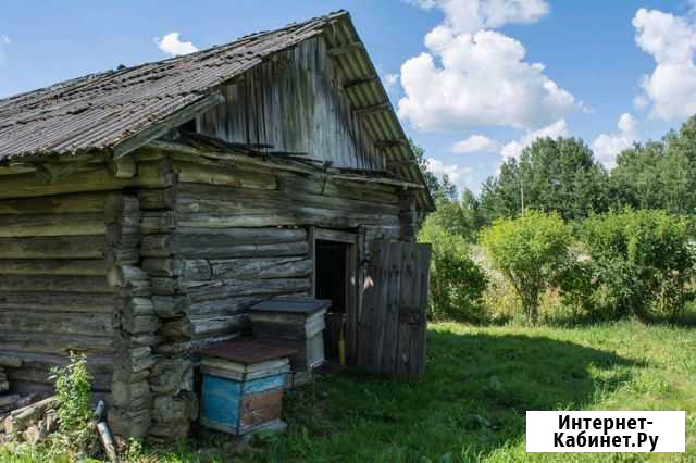 Дом 45 кв.м. на участке 40 сот. Яранск - изображение 1