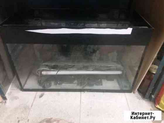 Аквариум Курск