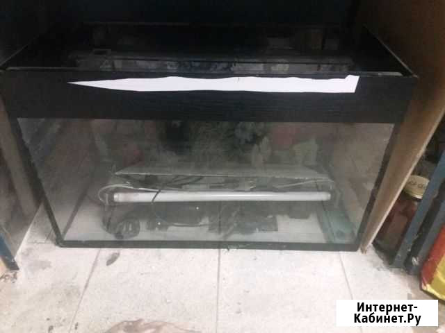 Аквариум Курск - изображение 1