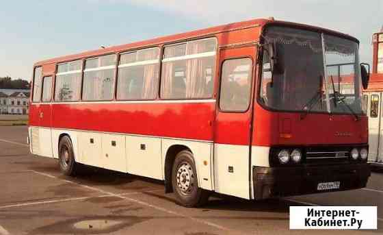 Икарус 256 (Ikarus 256) Лыткарино