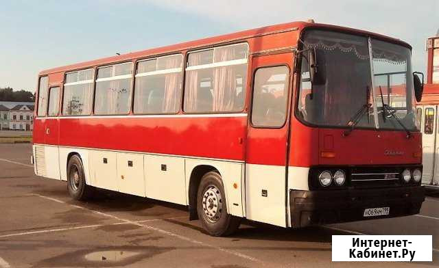 Икарус 256 (Ikarus 256) Лыткарино - изображение 1