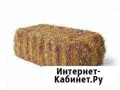 Солома Краснодар