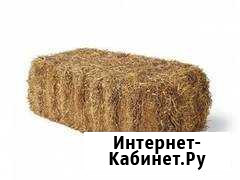 Солома Краснодар - изображение 1