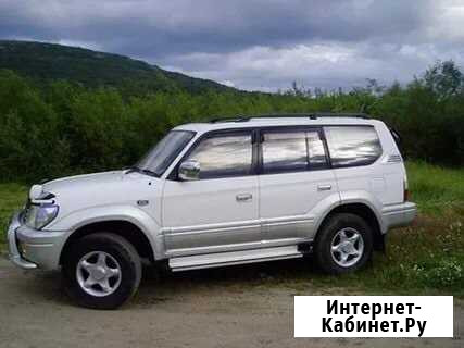Аренда авто с водителем Петропавловск-Камчатский - изображение 1