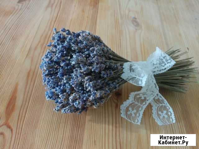 Лаванда Рыбинск - изображение 1