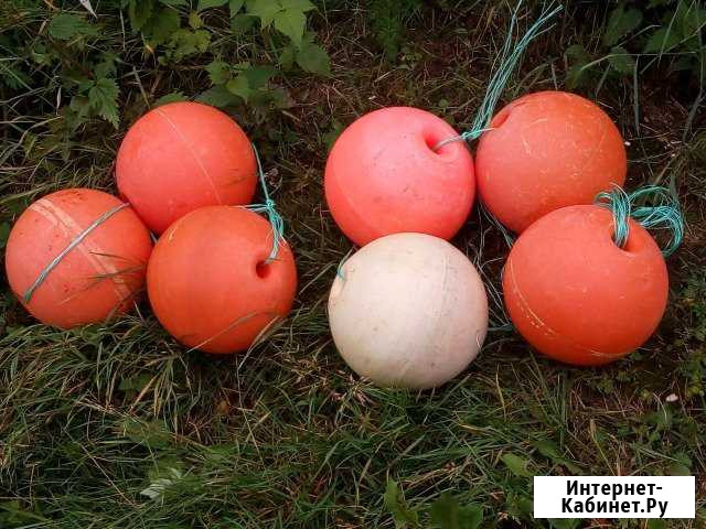 Кухтыли Лоухи - изображение 1