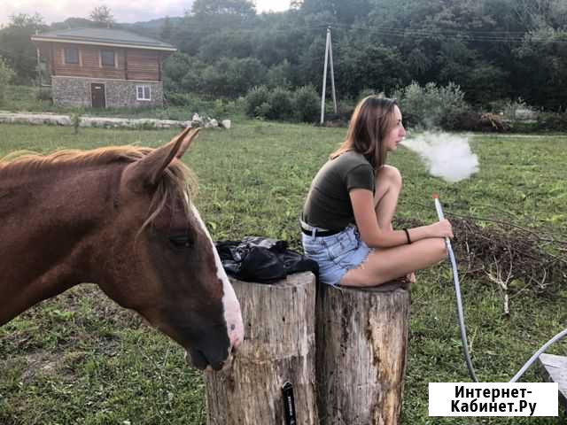 Отдохни в горах Лаго-Наки Каменномостский - изображение 1