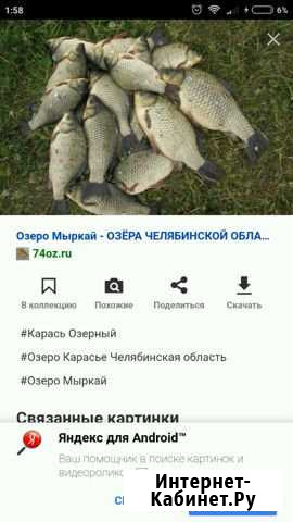 Карась крупный Мелеуз - изображение 1