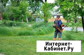 Покос травы Короча - изображение 1