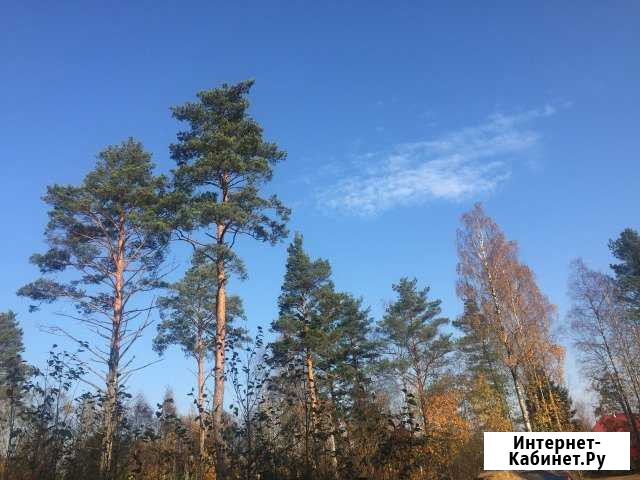 Участок 22 сот. (СНТ, ДНП) Санкт-Петербург - изображение 1