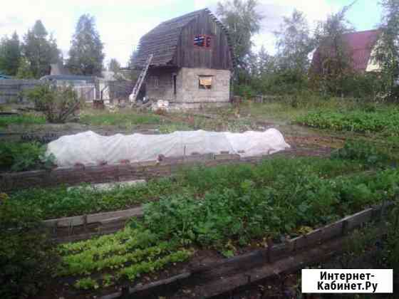 Участок 12 сот. (СНТ, ДНП) Сургут