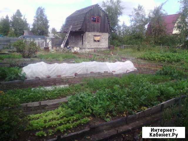 Участок 12 сот. (СНТ, ДНП) Сургут - изображение 1